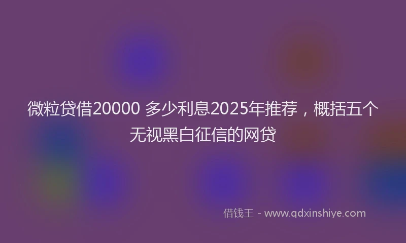 微粒贷借20000 多少利息2025年推荐，概括五个无视黑白征信的网贷