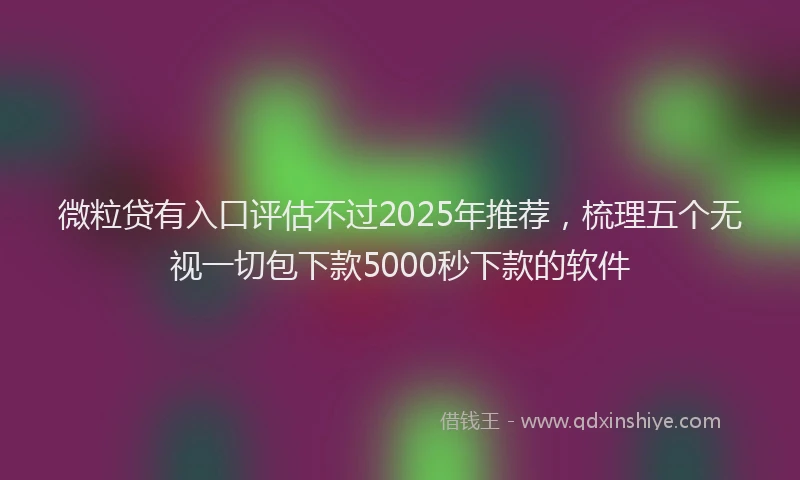 微粒贷有入口评估不过2025年推荐，梳理五个无视一切包下款5000秒下款的软件