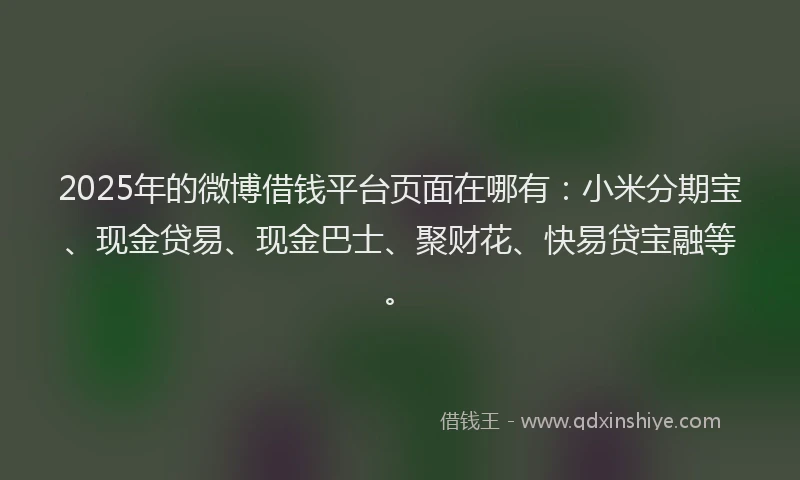 2025年的微博借钱平台页面在哪有：小米分期宝、现金贷易、现金巴士、聚财花、快易贷宝融等。