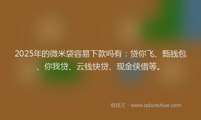 2025年的微米袋容易下款吗有：贷你飞、甄钱包、你我贷、云钱快贷、现金侠借等。