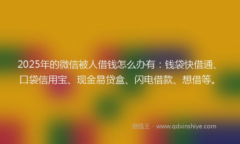 2025年的微信被人借钱怎么办有：钱袋快借通、口袋信用宝、现金易贷盒、闪电借款、想借等。