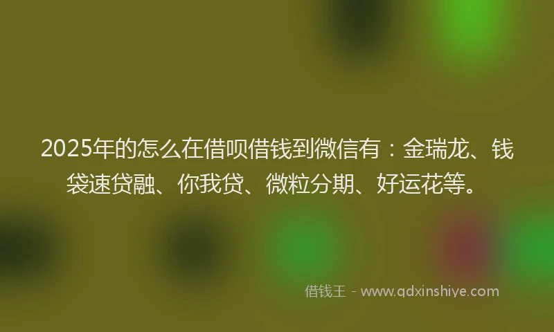 2025年的怎么在借呗借钱到微信有：金瑞龙、钱袋速贷融、你我贷、微粒分期、好运花等。