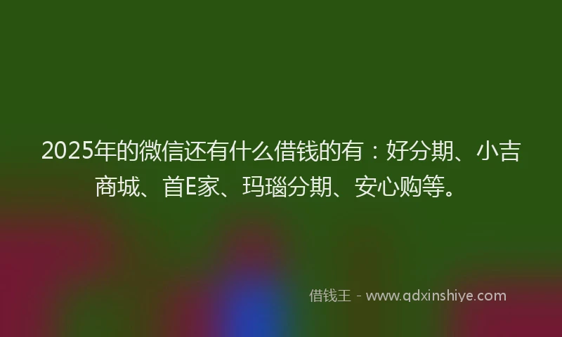 2025年的微信还有什么借钱的有：好分期、小吉商城、首E家、玛瑙分期、安心购等。