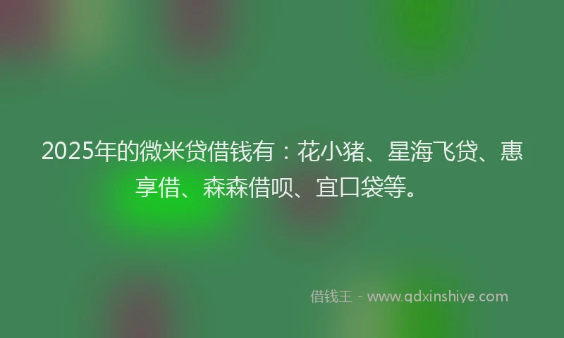 2025年的微米贷借钱有：花小猪、星海飞贷、惠享借、森森借呗、宜口袋等。