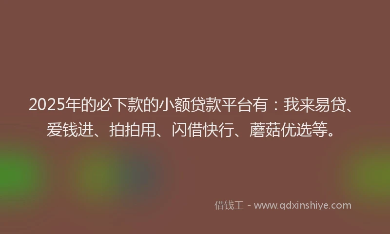 2025年的必下款的小额贷款平台有：我来易贷、爱钱进、拍拍用、闪借快行、蘑菇优选等。
