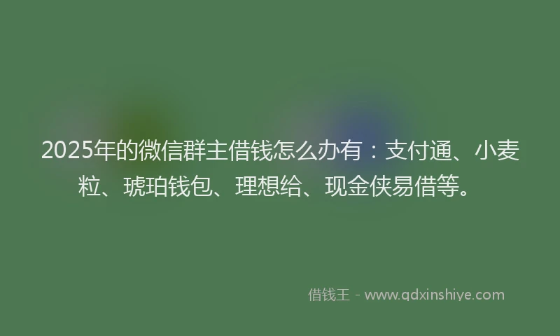2025年的微信群主借钱怎么办有：支付通、小麦粒、琥珀钱包、理想给、现金侠易借等。