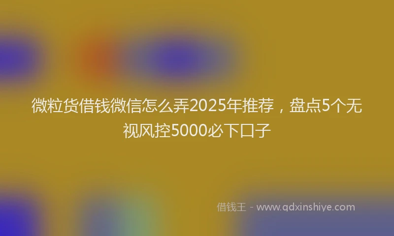 微粒货借钱微信怎么弄2025年推荐，盘点5个无视风控5000必下口子