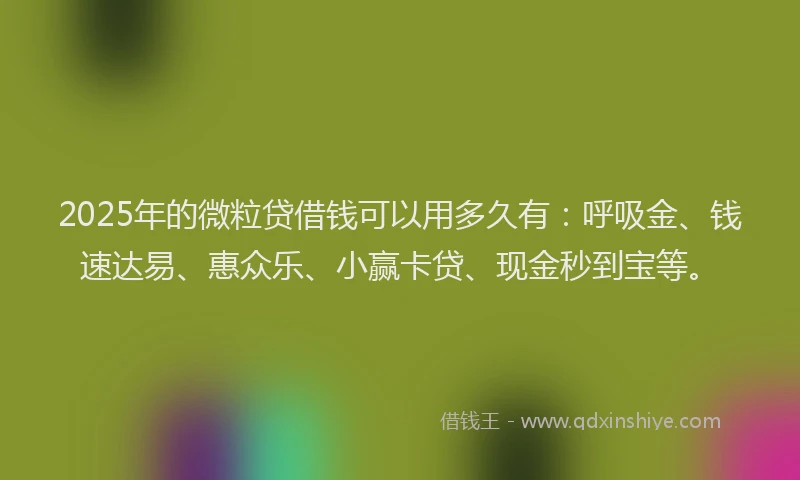 2025年的微粒贷借钱可以用多久有：呼吸金、钱速达易、惠众乐、小赢卡贷、现金秒到宝等。