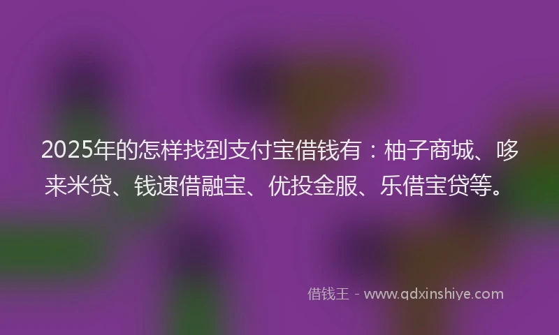 2025年的怎样找到支付宝借钱有：柚子商城、哆来米贷、钱速借融宝、优投金服、乐借宝贷等。