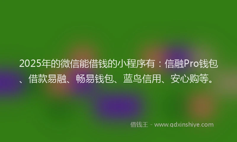 2025年的微信能借钱的小程序有：信融Pro钱包、借款易融、畅易钱包、蓝鸟信用、安心购等。