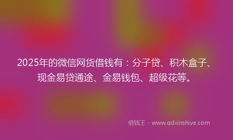 2025年的微信网货借钱有：分子贷、积木盒子、现金易贷通途、金易钱包、超级花等。