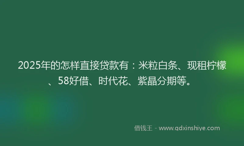 2025年的怎样直接贷款有：米粒白条、现租柠檬、58好借、时代花、紫晶分期等。