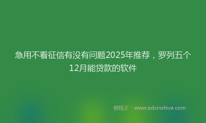 急用不看征信有没有问题2025年推荐，罗列五个12月能贷款的软件