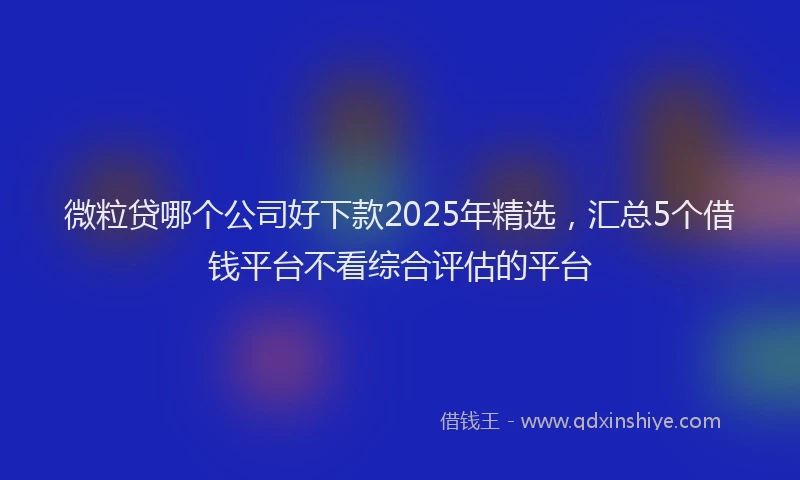 微粒贷哪个公司好下款2025年精选，汇总5个借钱平台不看综合评估的平台