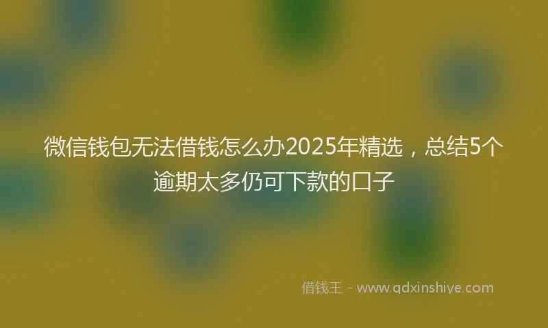 微信钱包无法借钱怎么办2025年精选，总结5个逾期太多仍可下款的口子