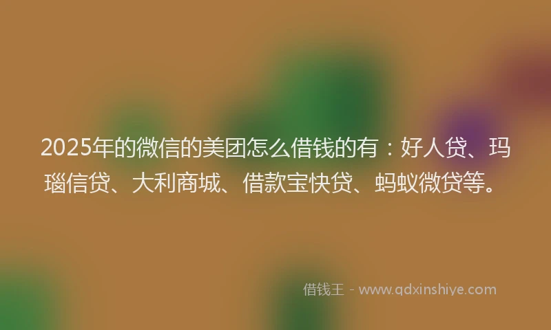 2025年的微信的美团怎么借钱的有：好人贷、玛瑙信贷、大利商城、借款宝快贷、蚂蚁微贷等。