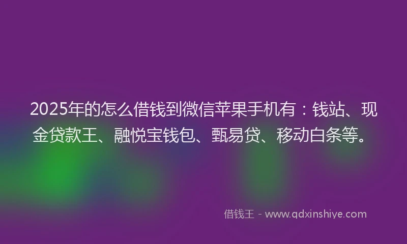 2025年的怎么借钱到微信苹果手机有：钱站、现金贷款王、融悦宝钱包、甄易贷、移动白条等。