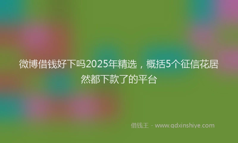 微博借钱好下吗2025年精选，概括5个征信花居然都下款了的平台