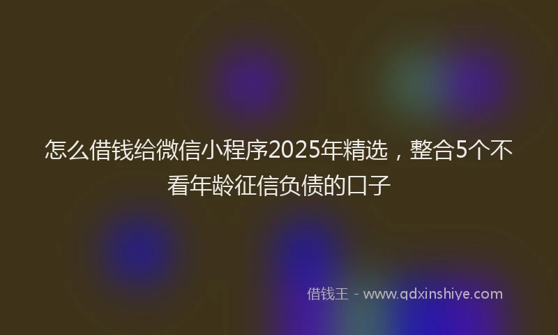 怎么借钱给微信小程序2025年精选，整合5个不看年龄征信负债的口子