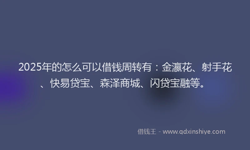 2025年的怎么可以借钱周转有：金瀛花、射手花、快易贷宝、森泽商城、闪贷宝融等。