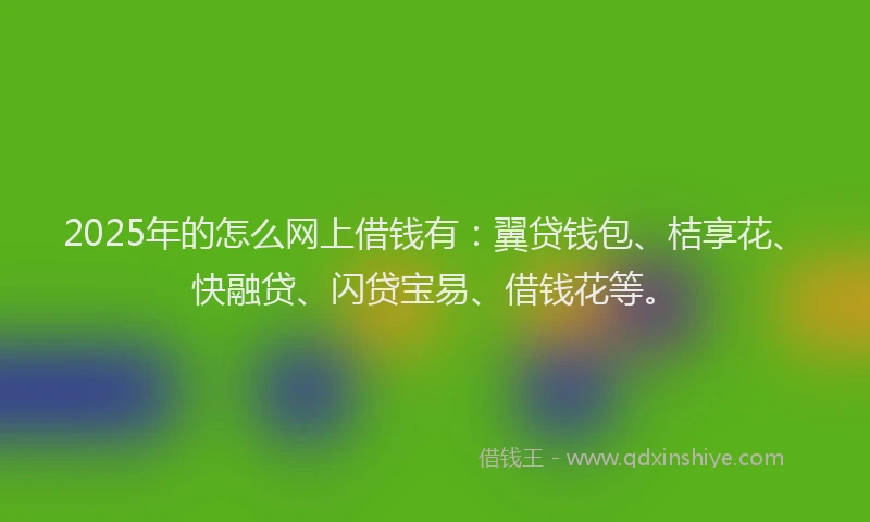 2025年的怎么网上借钱有：翼贷钱包、桔享花、快融贷、闪贷宝易、借钱花等。