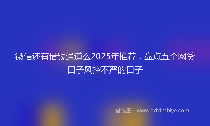 微信还有借钱通道么2025年推荐，盘点五个网贷口子风控不严的口子