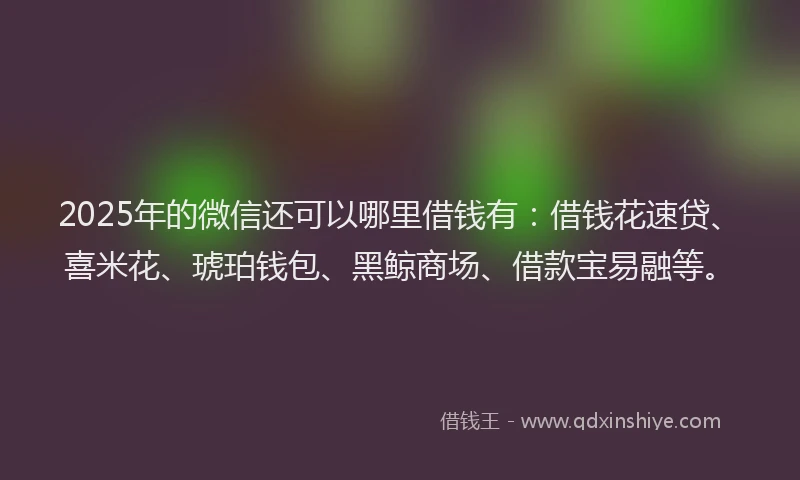 2025年的微信还可以哪里借钱有：借钱花速贷、喜米花、琥珀钱包、黑鲸商场、借款宝易融等。