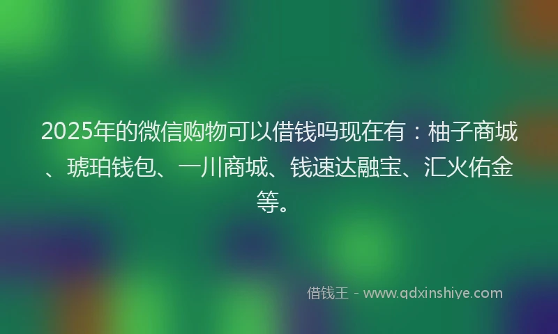 2025年的微信购物可以借钱吗现在有：柚子商城、琥珀钱包、一川商城、钱速达融宝、汇火佑金等。