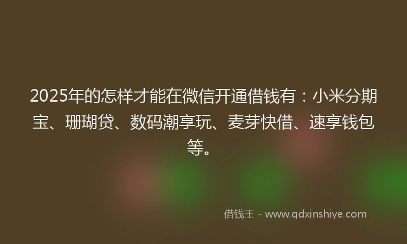 2025年的怎样才能在微信开通借钱有：小米分期宝、珊瑚贷、数码潮享玩、麦芽快借、速享钱包等。