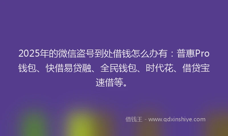 2025年的微信盗号到处借钱怎么办有：普惠Pro钱包、快借易贷融、全民钱包、时代花、借贷宝速借等。