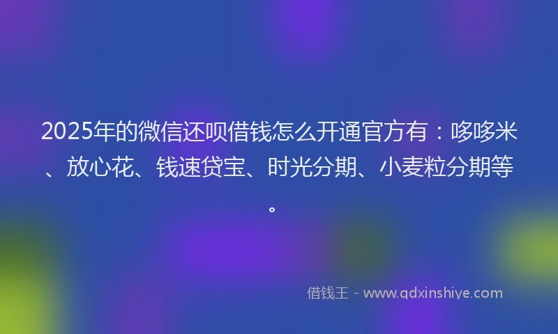 2025年的微信还呗借钱怎么开通官方有：哆哆米、放心花、钱速贷宝、时光分期、小麦粒分期等。