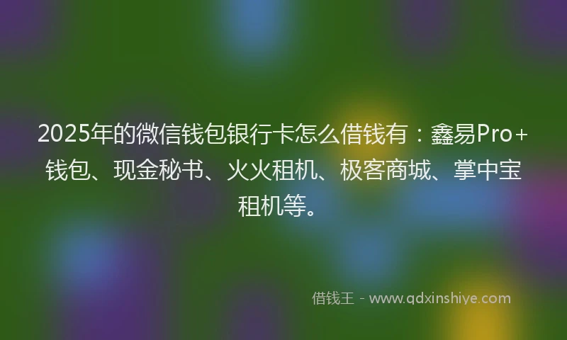 2025年的微信钱包银行卡怎么借钱有：鑫易Pro+钱包、现金秘书、火火租机、极客商城、掌中宝租机等。