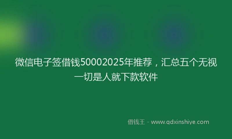 微信电子签借钱50002025年推荐，汇总五个无视一切是人就下款软件