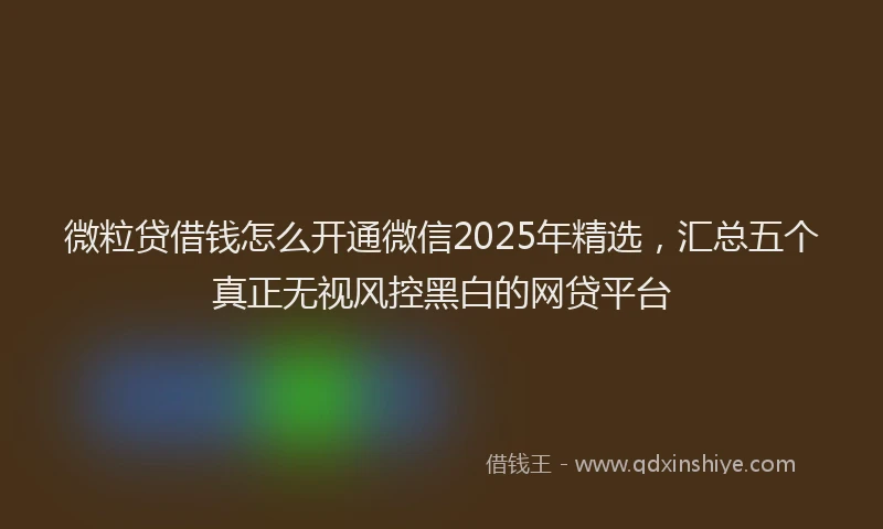 微粒贷借钱怎么开通微信2025年精选，汇总五个真正无视风控黑白的网贷平台