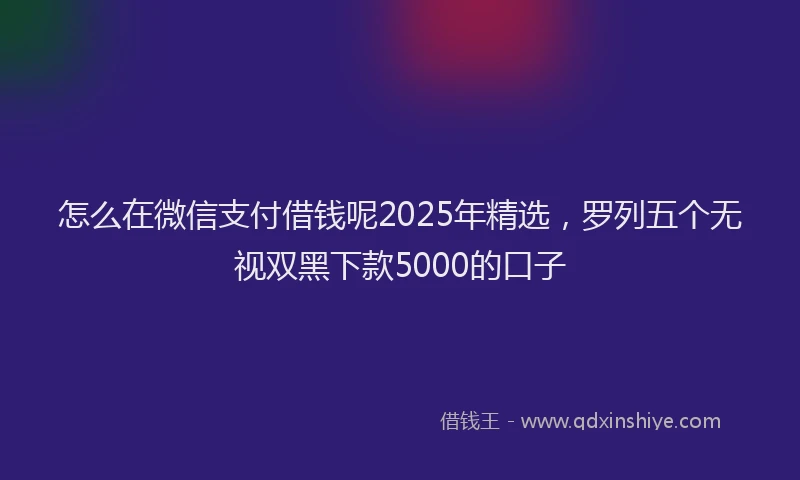 怎么在微信支付借钱呢2025年精选，罗列五个无视双黑下款5000的口子