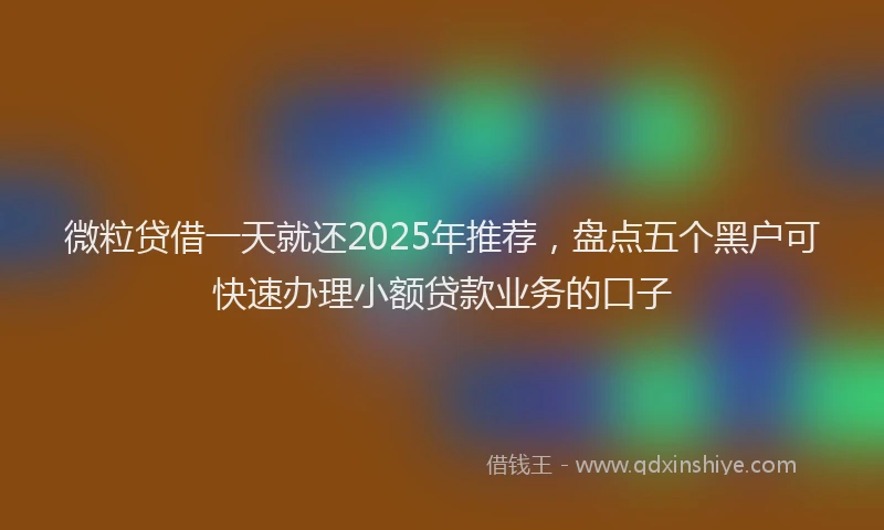 微粒贷借一天就还2025年推荐，盘点五个黑户可快速办理小额贷款业务的口子