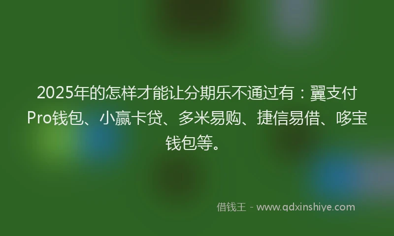 2025年的怎样才能让分期乐不通过有：翼支付Pro钱包、小赢卡贷、多米易购、捷信易借、哆宝钱包等。
