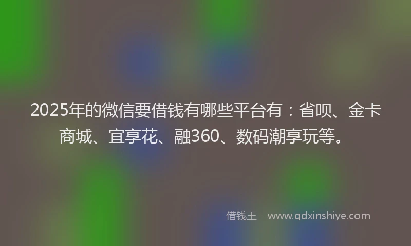 2025年的微信要借钱有哪些平台有：省呗、金卡商城、宜享花、融360、数码潮享玩等。