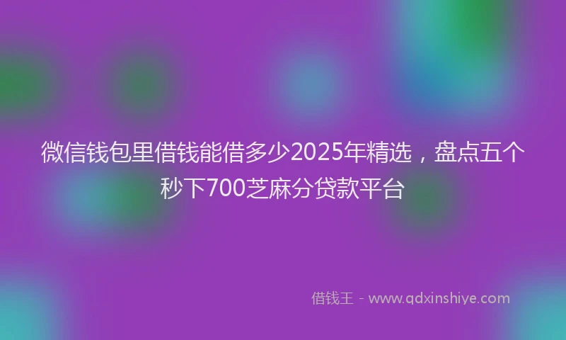 微信钱包里借钱能借多少2025年精选，盘点五个秒下700芝麻分贷款平台