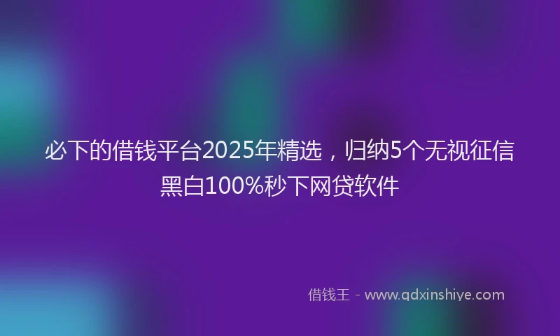 必下的借钱平台2025年精选，归纳5个无视征信黑白100%秒下网贷软件