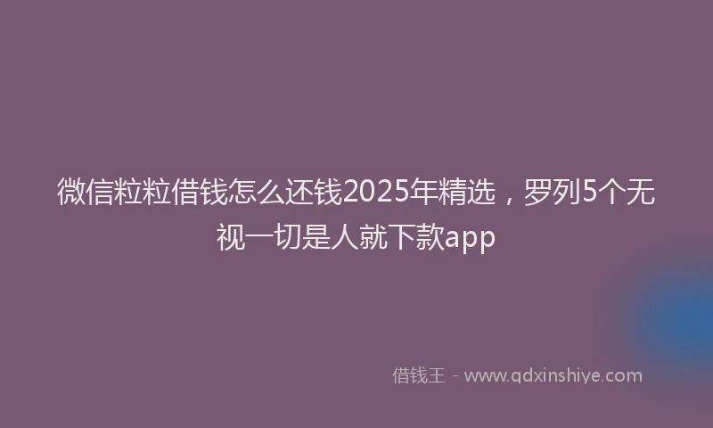 微信粒粒借钱怎么还钱2025年精选，罗列5个无视一切是人就下款app