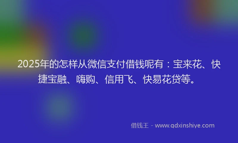 2025年的怎样从微信支付借钱呢有：宝来花、快捷宝融、嗨购、信用飞、快易花贷等。