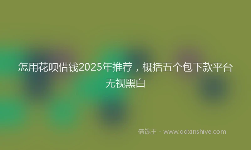 怎用花呗借钱2025年推荐，概括五个包下款平台无视黑白