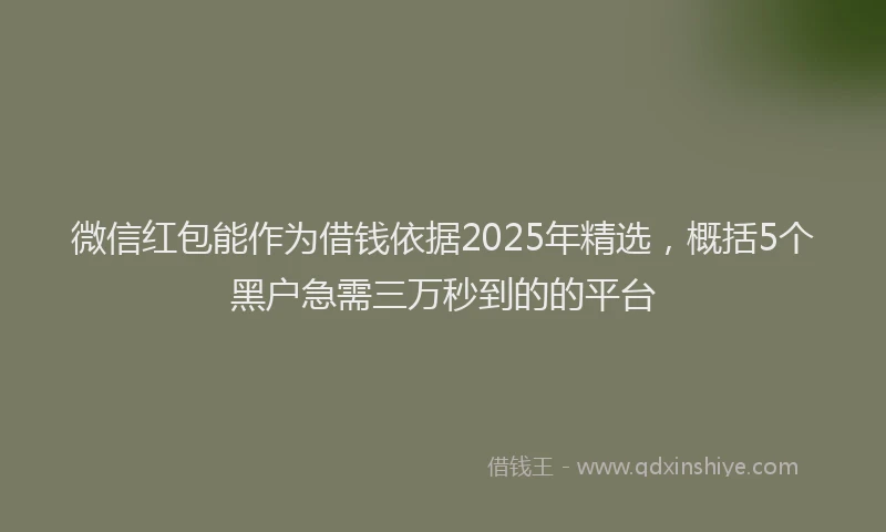微信红包能作为借钱依据2025年精选，概括5个黑户急需三万秒到的的平台