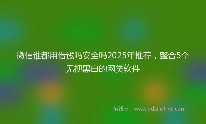 微信谁都用借钱吗安全吗2025年推荐，整合5个无视黑白的网贷软件