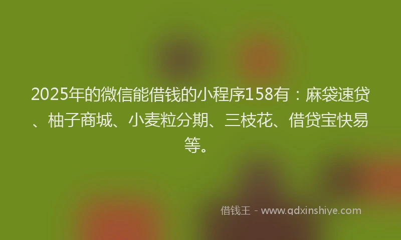 2025年的微信能借钱的小程序158有：麻袋速贷、柚子商城、小麦粒分期、三枝花、借贷宝快易等。