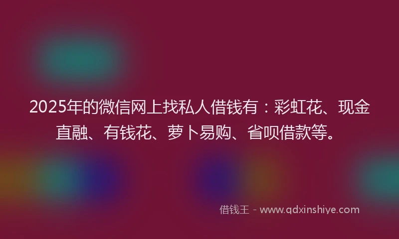 2025年的微信网上找私人借钱有：彩虹花、现金直融、有钱花、萝卜易购、省呗借款等。