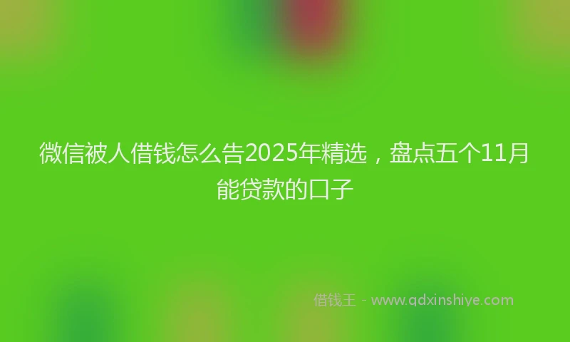 微信被人借钱怎么告2025年精选，盘点五个11月能贷款的口子