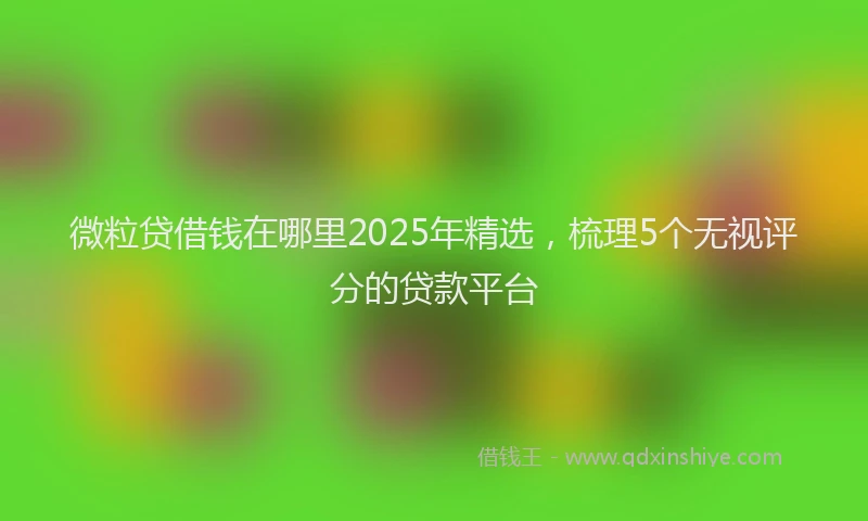 微粒贷借钱在哪里2025年精选，梳理5个无视评分的贷款平台