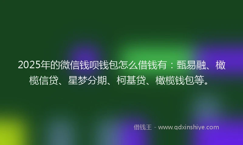 2025年的微信钱呗钱包怎么借钱有：甄易融、橄榄信贷、星梦分期、柯基贷、橄榄钱包等。